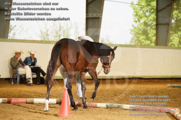s_K3F06634.jpg